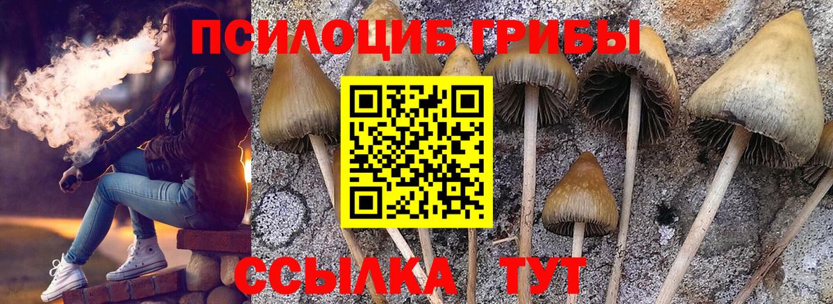 Псилоцибиновые грибы Magic Shrooms Новый Уренгой