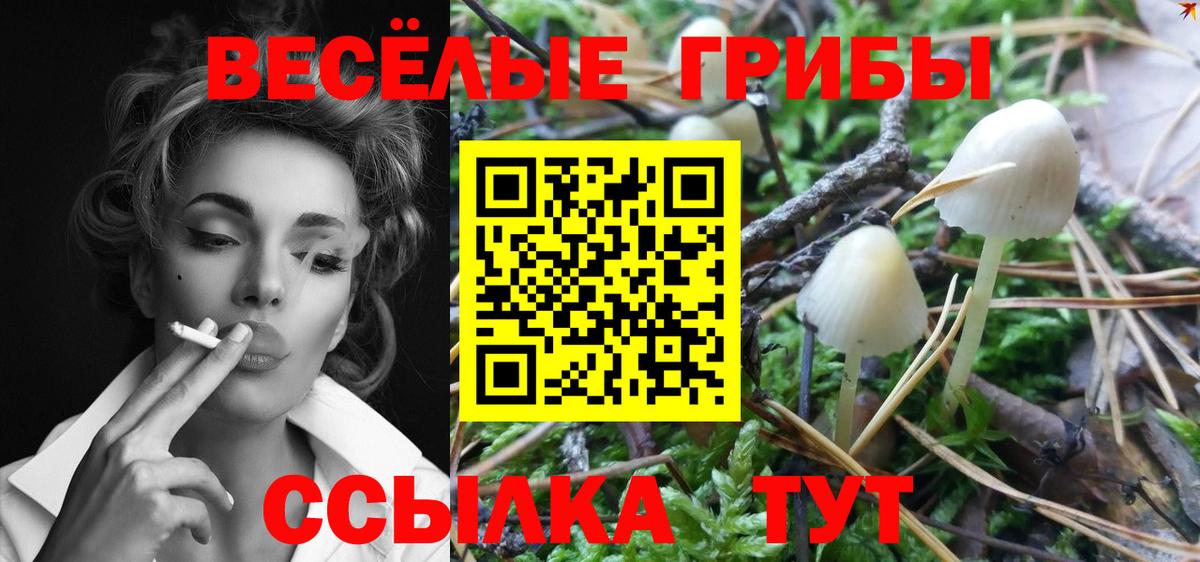 Псилоцибиновые грибы Psilocybe  Вход с VPN  Новый Уренгой 